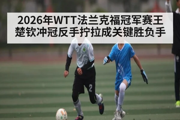 2026年WTT法兰克福冠军赛王楚钦冲冠反手拧拉成关键胜负手